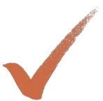 Dark orange checkmark